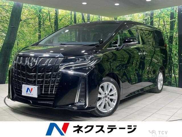 2019 Toyota Alphard G