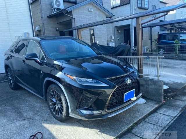 2019 Lexus RX