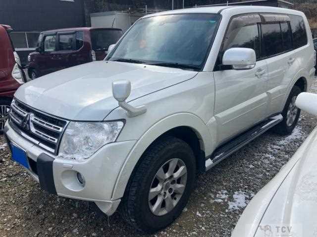 2011 Mitsubishi Pajero