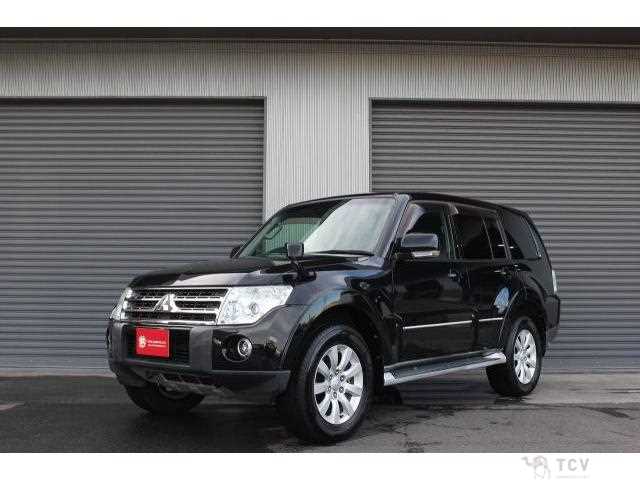 2009 Mitsubishi Pajero