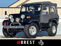 1996 Mitsubishi Jeep