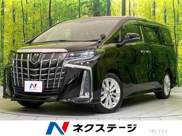 2019 Toyota Alphard G