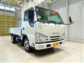 2019 Isuzu Elf Truck