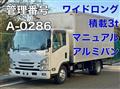 2017 Isuzu Elf Truck