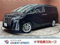 2019 Toyota Alphard G