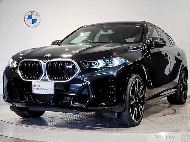 2023 BMW X6