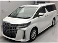 2023 Toyota Alphard G