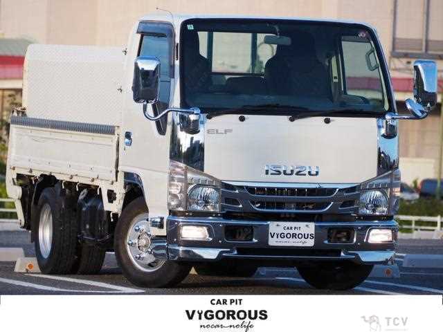 2017 Isuzu Elf Truck