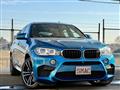 2015 BMW X6