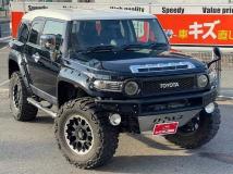 2011 Toyota FJ Cruiser