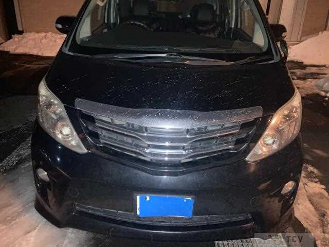 2008 Toyota Alphard G