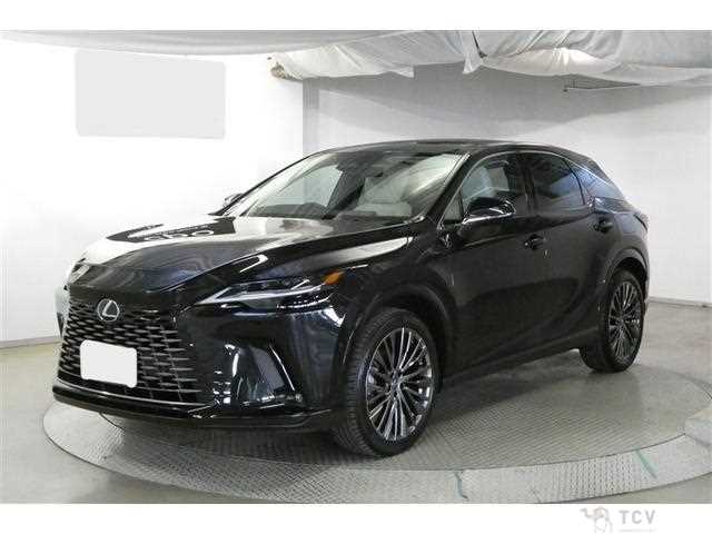 2024 Lexus RX