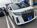 2020 Toyota Alphard G