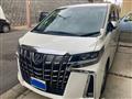 2019 Toyota Alphard G