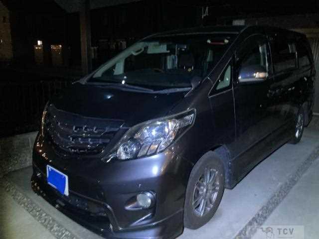 2010 Toyota Alphard G