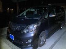 2010 Toyota Alphard G