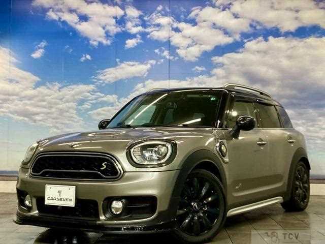 2017 BMW MINI