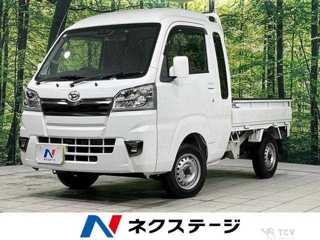 2020 Daihatsu Hijet Truck