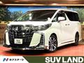 2019 Toyota Alphard G