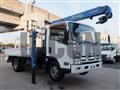 2012 Isuzu Elf Truck