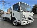 2019 Isuzu Elf Truck