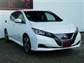 2021 Nissan Leaf