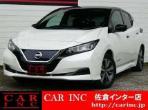 2019 Nissan Leaf
