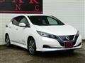2019 Nissan Leaf
