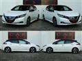 2019 Nissan Leaf