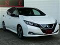 2019 Nissan Leaf