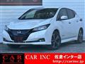 2022 Nissan Leaf