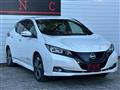 2022 Nissan Leaf