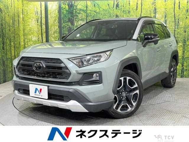 2019 Toyota RAV4
