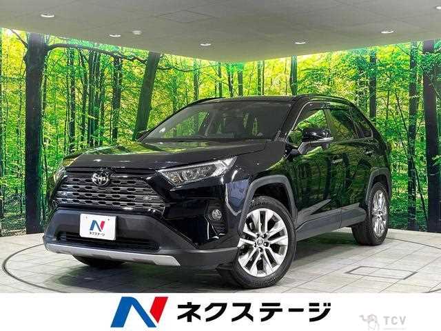 2020 Toyota RAV4
