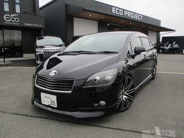 2010 Toyota Mark X Zio