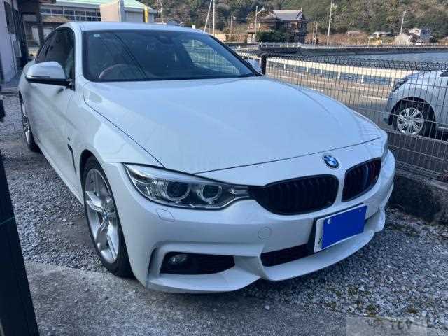 2017 BMW BMW Others
