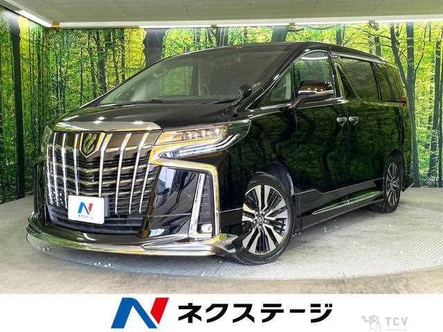 2019 Toyota Alphard G
