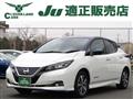 2019 Nissan Leaf
