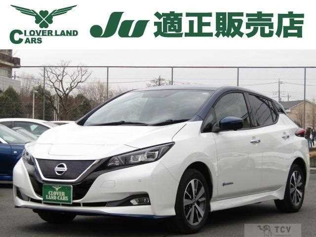2019 Nissan Leaf