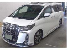 2019 Toyota Alphard G