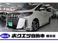 2019 Toyota Alphard G