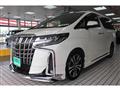 2019 Toyota Alphard G