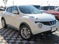 2010 Nissan Juke