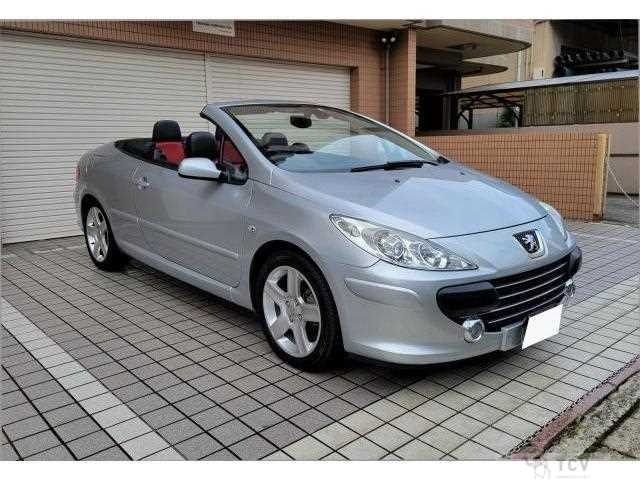 2007 Peugeot 307