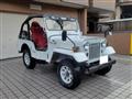 1995 Mitsubishi Jeep