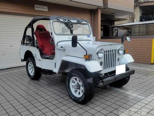1995 Mitsubishi Jeep