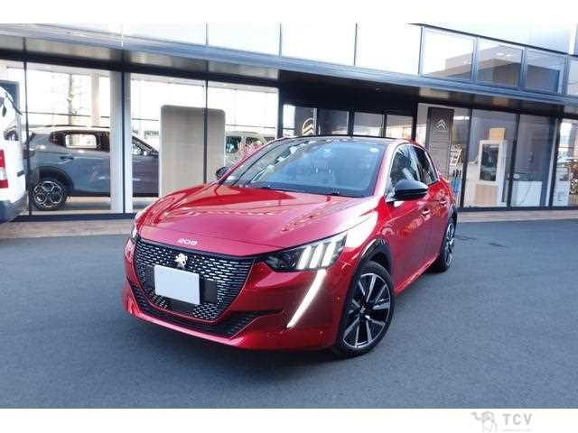 2020 Peugeot Peugoet Others