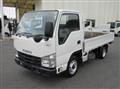 2017 Isuzu Elf Truck