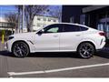 2023 BMW X6