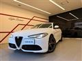 2021 Alfa Romeo Alfa Romeo Others
